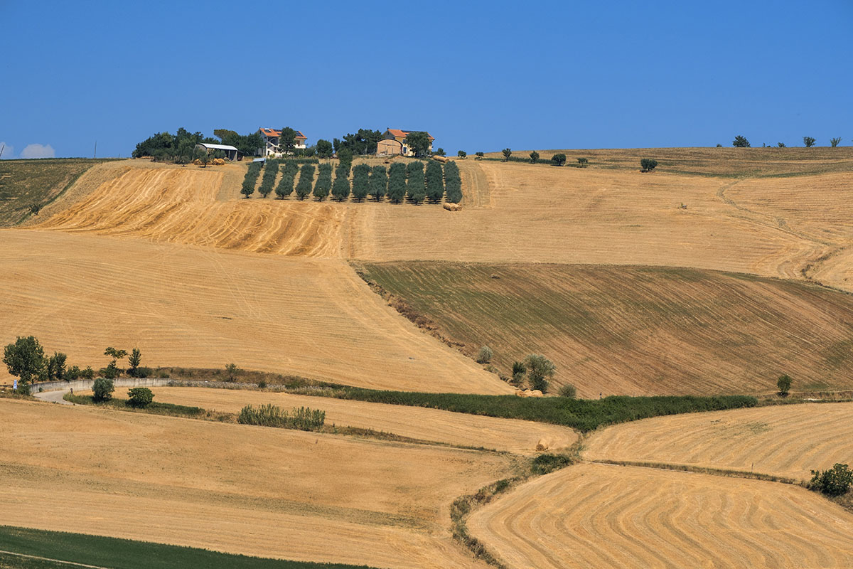 Landscape near Loreto Aprutino (Abruzzi) at summer